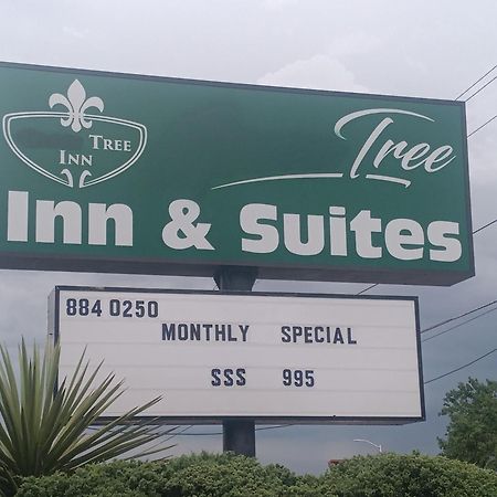 Tree Inn & Suites Albuquerque Bagian luar foto