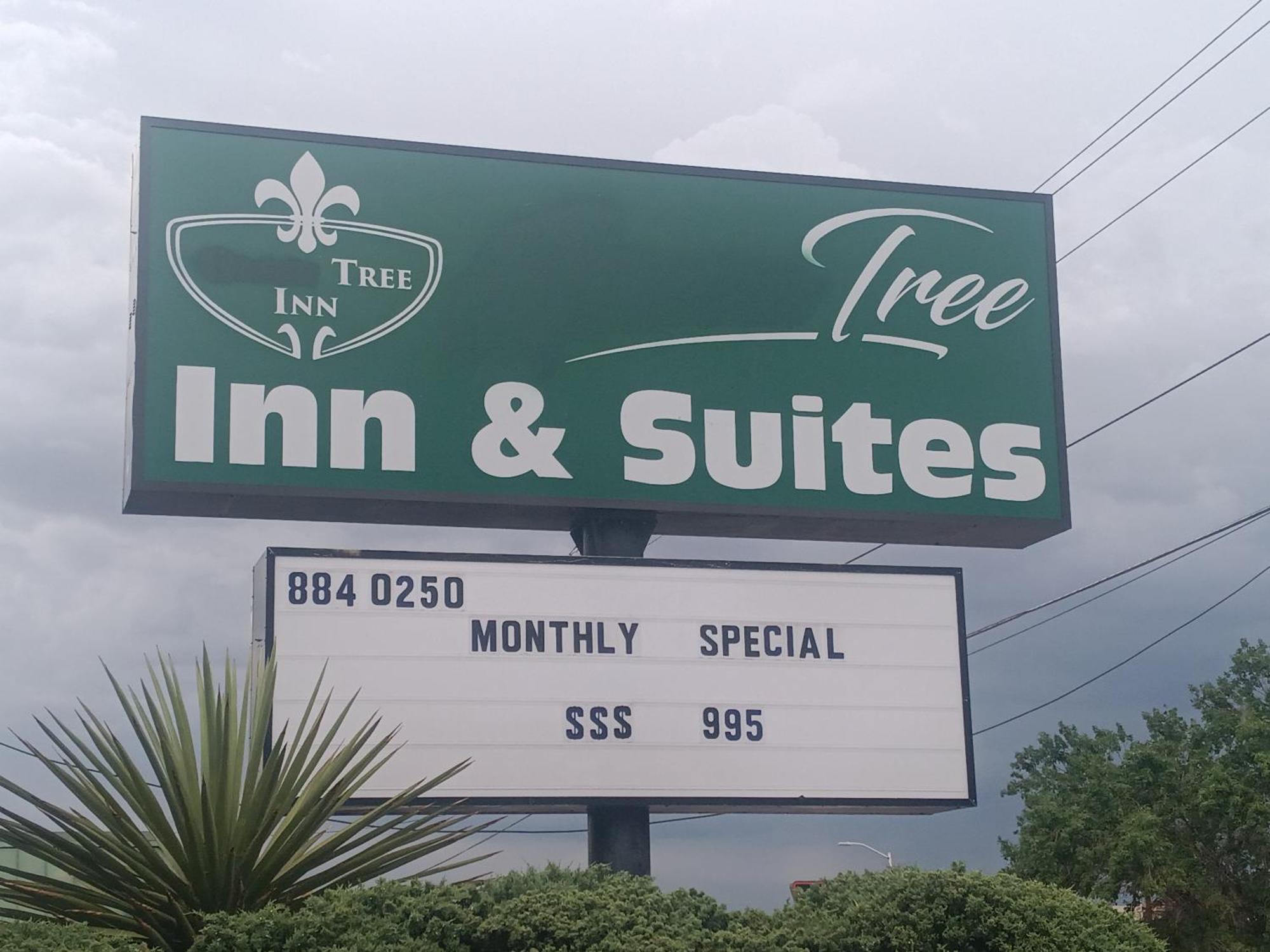 Tree Inn & Suites Albuquerque Bagian luar foto